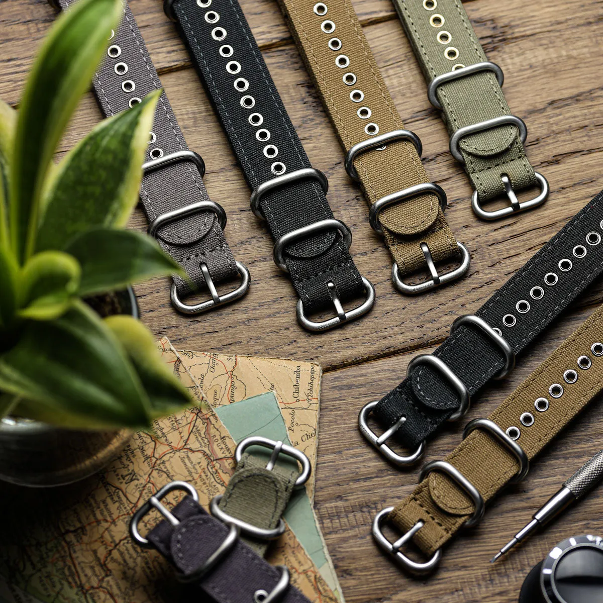 1973 British Military Watch Strap: WARRIOR Large Buckle - Army Green