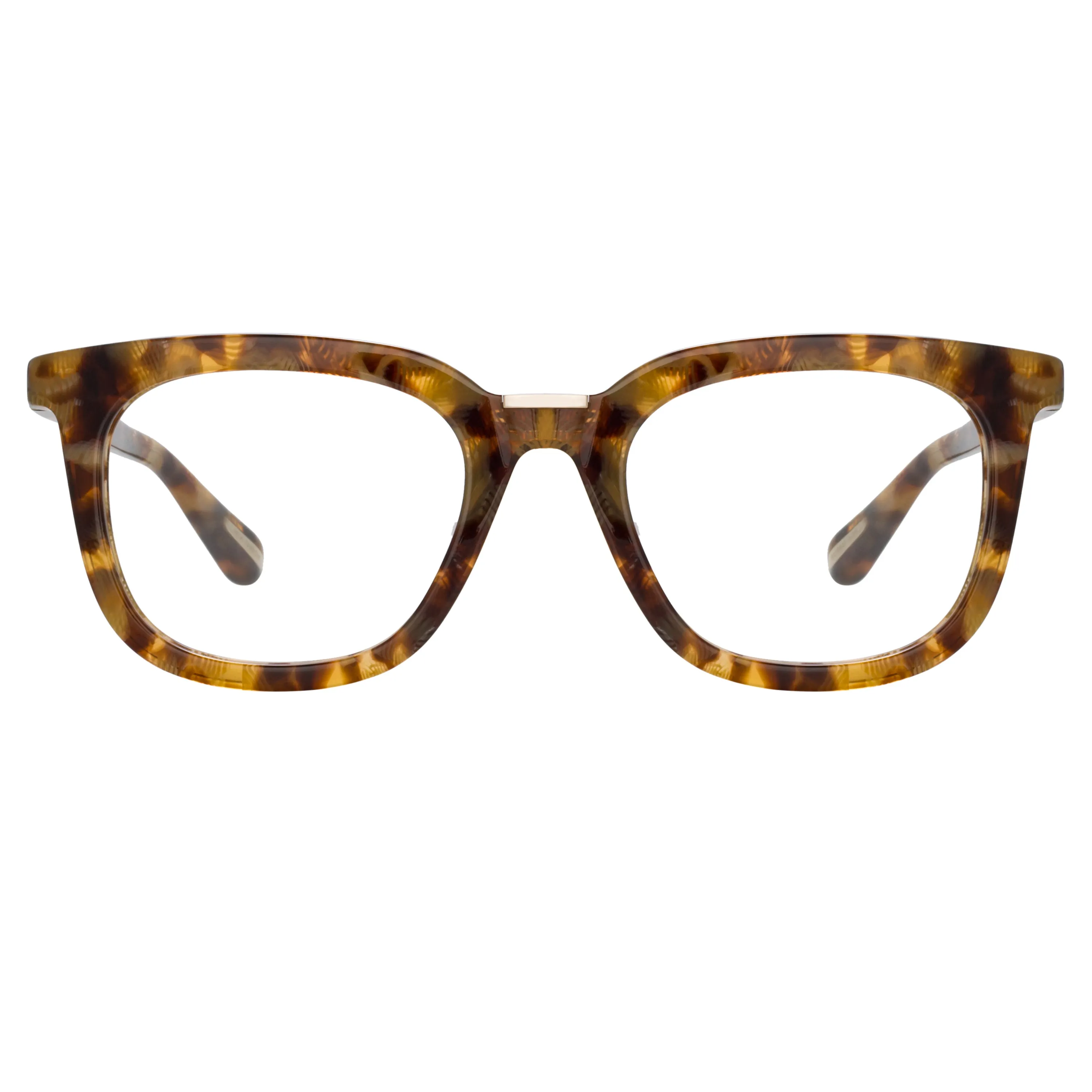 Burton Optical D-Frame in Tobacco Tortoiseshell