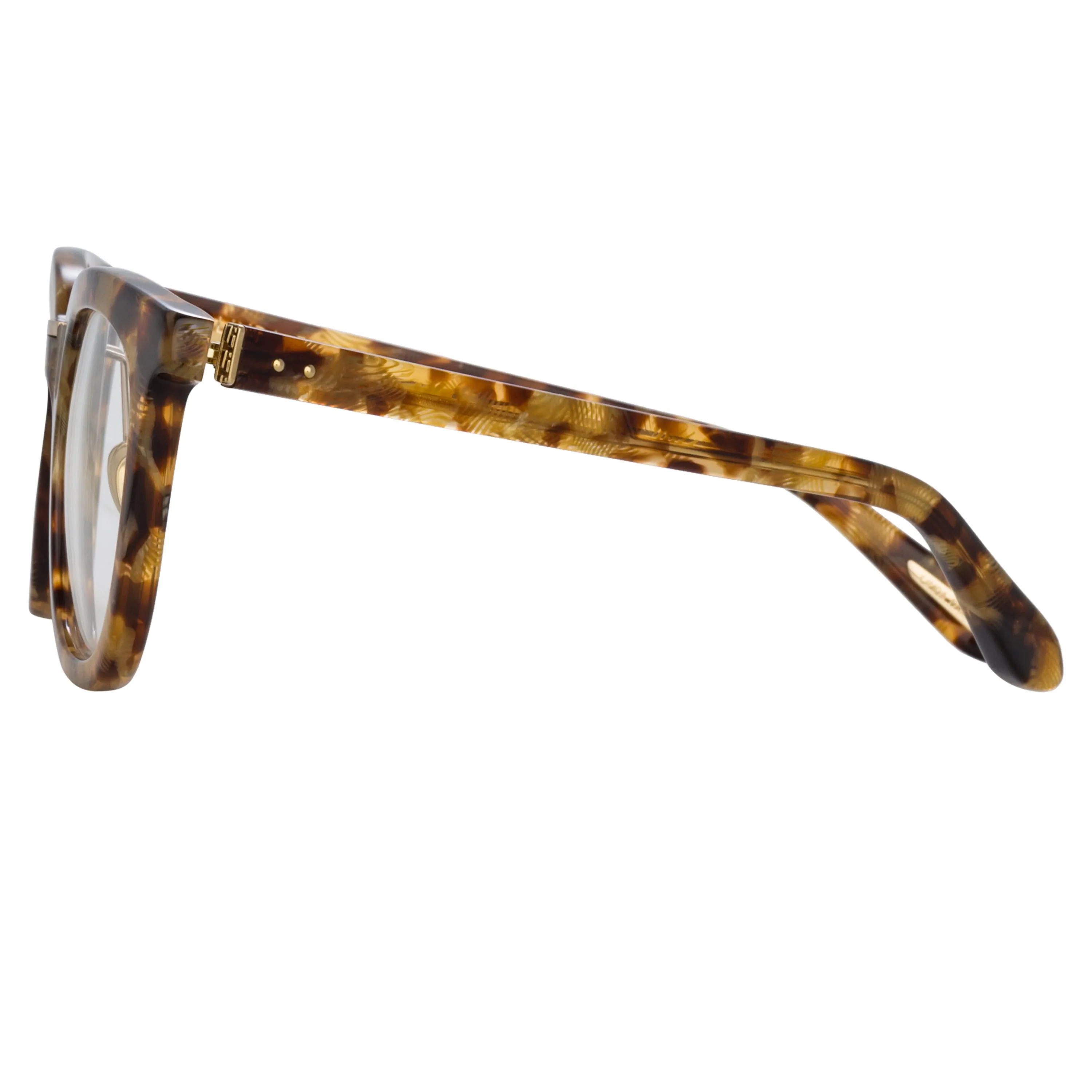Burton Optical D-Frame in Tobacco Tortoiseshell
