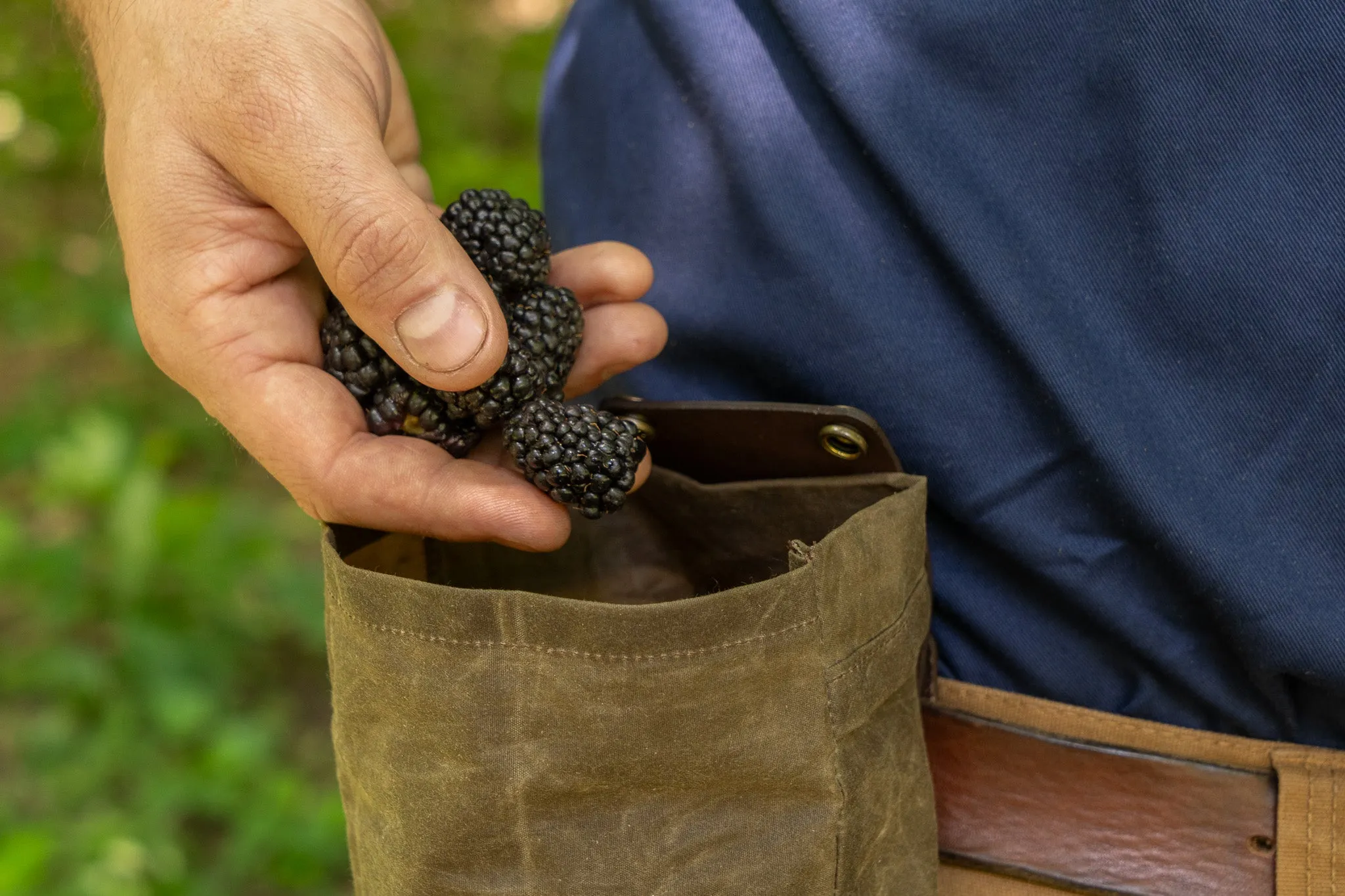 Collapsible Foraging Bag