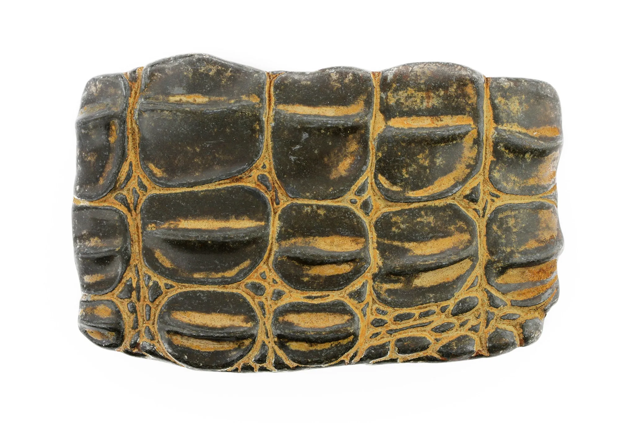 Grande Caiman Plate Buckle 40mm