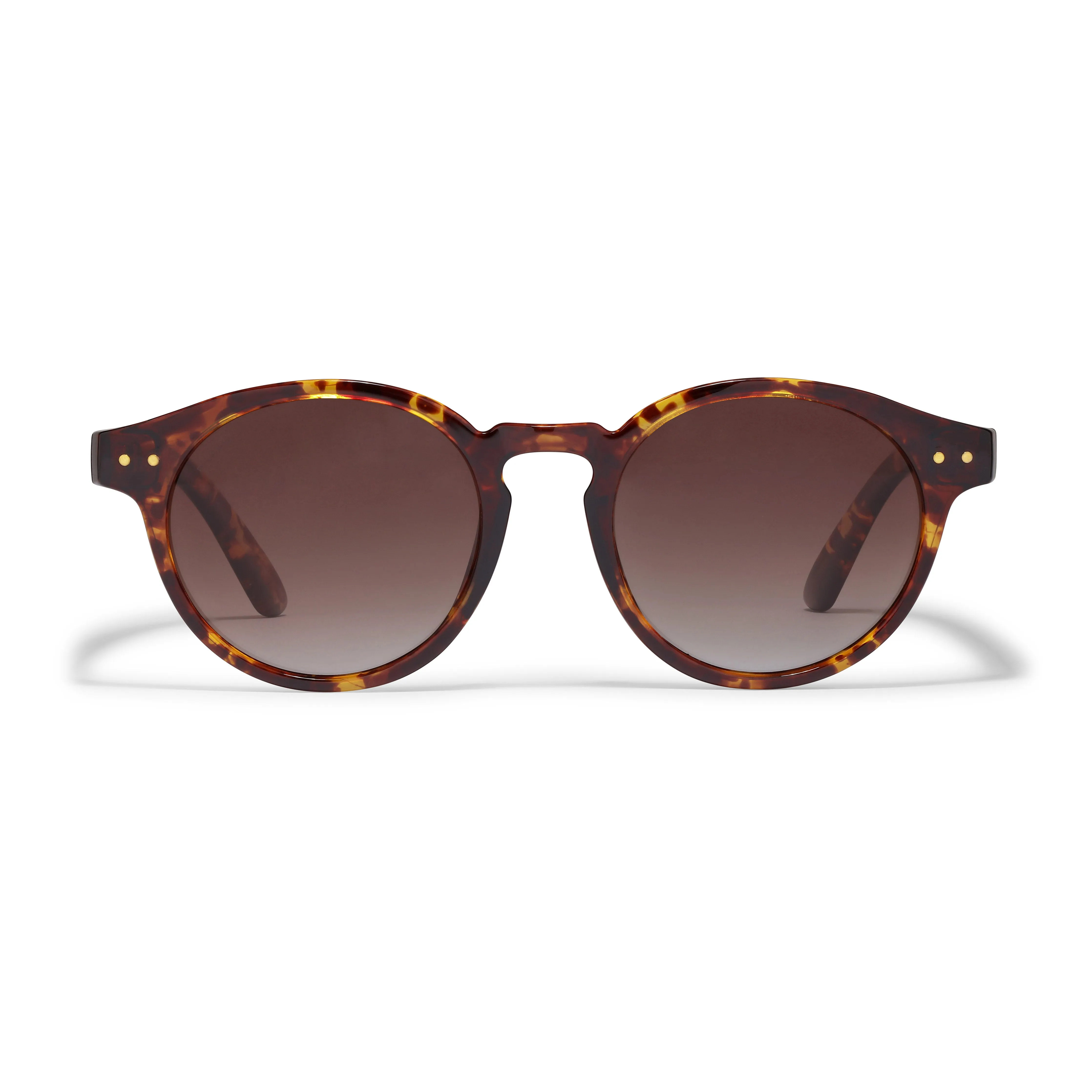 KYRIE sunglasses tortoise brown/gold