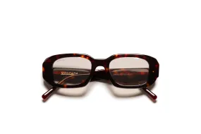 LOREN | TORTOISE