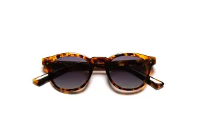 PASOLINI | TORTOISE