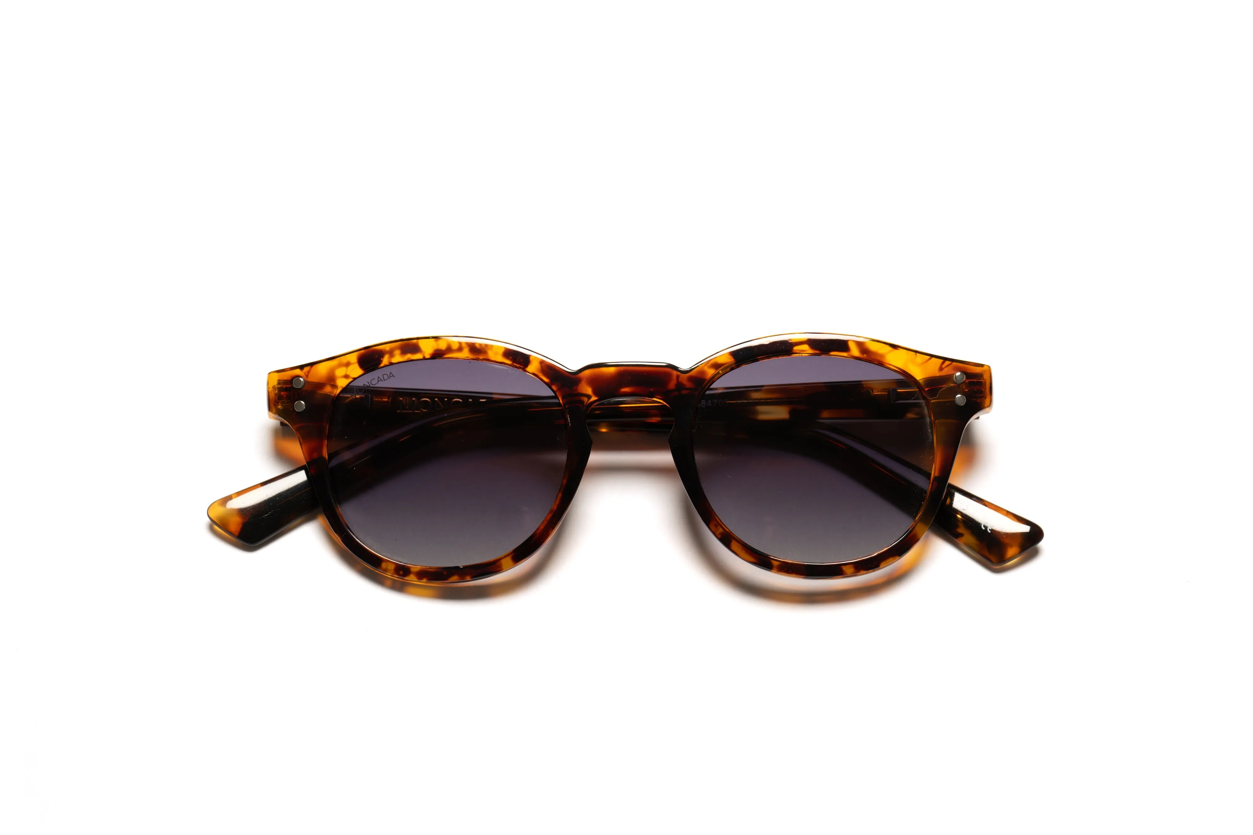 PASOLINI | TORTOISE