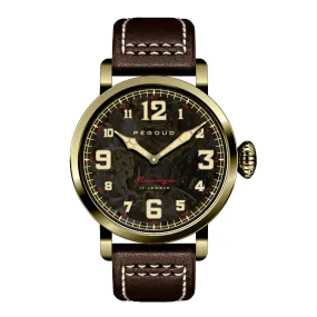 Pegoud Premiere Mechanical Skeleton Men's Gold Watch PG-9004-05