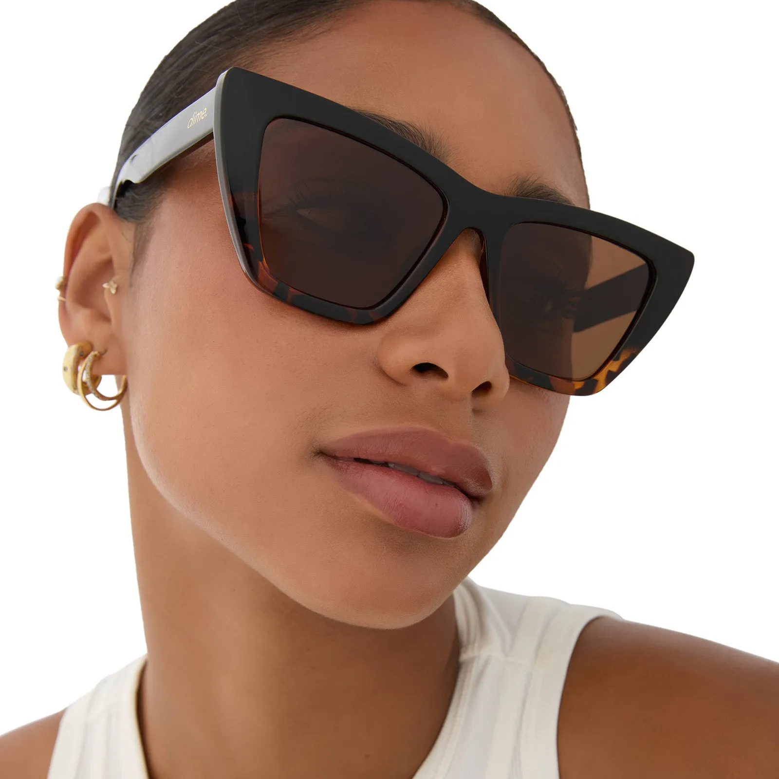 windsor - black tortoise   brown polarized sunglasses