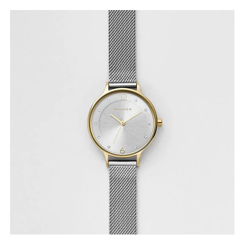 WW0131 Skagen Anita Ladies Mesh Chain Watch SKW2340